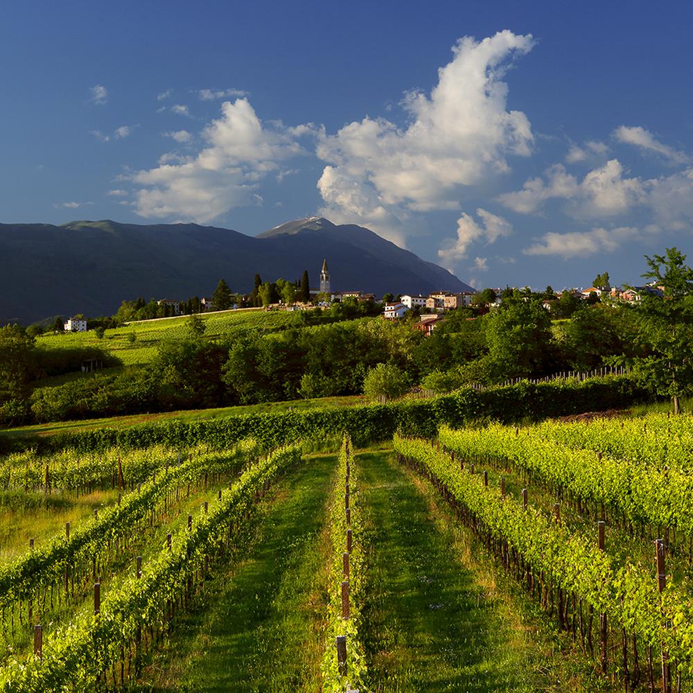 Tasting of Prosecco