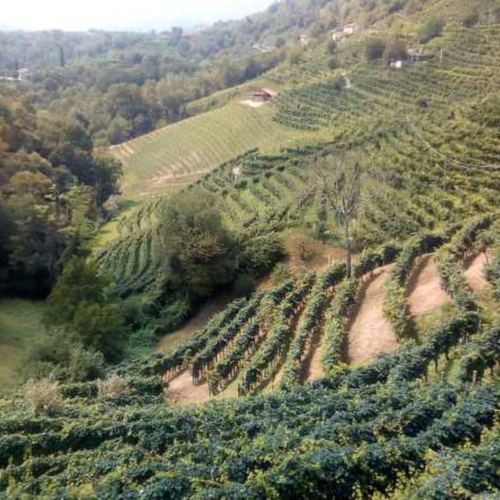 Loving Prosecco Tour