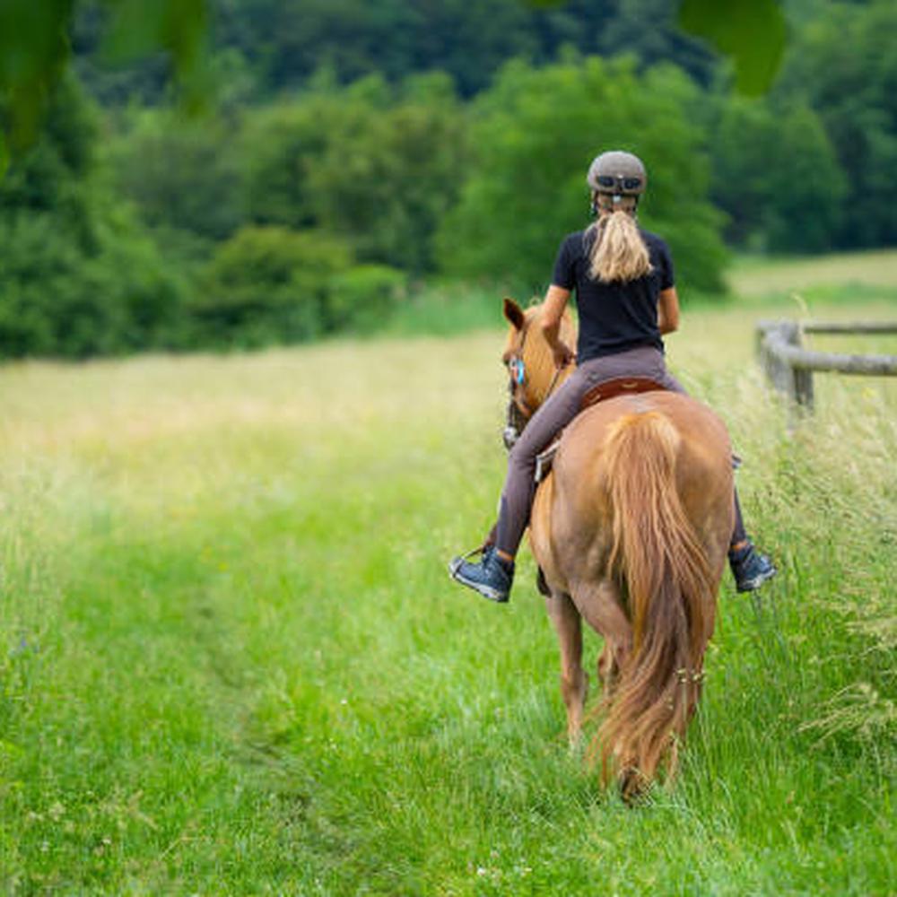 PASSEGGIATA A CAVALLO E...