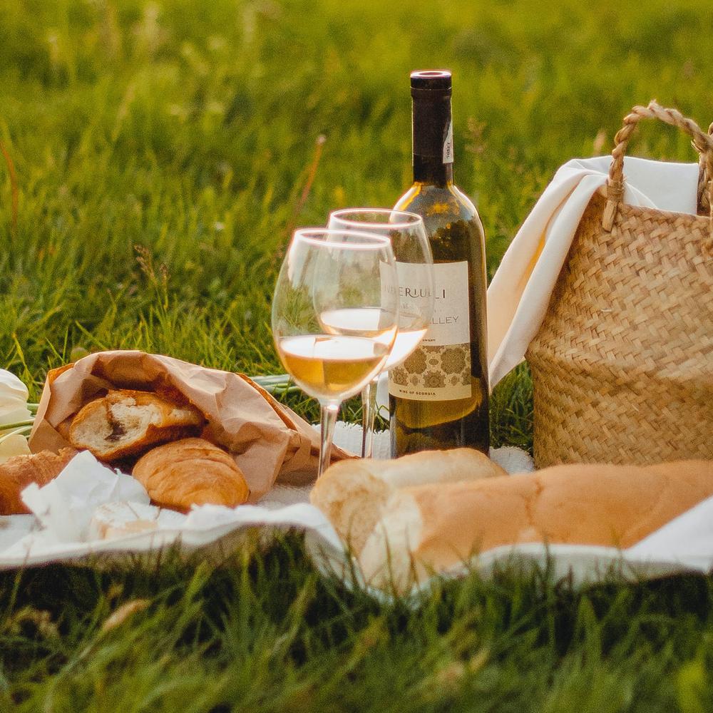 PIC NIC LUNCH THROUGH THE VINEYARDS