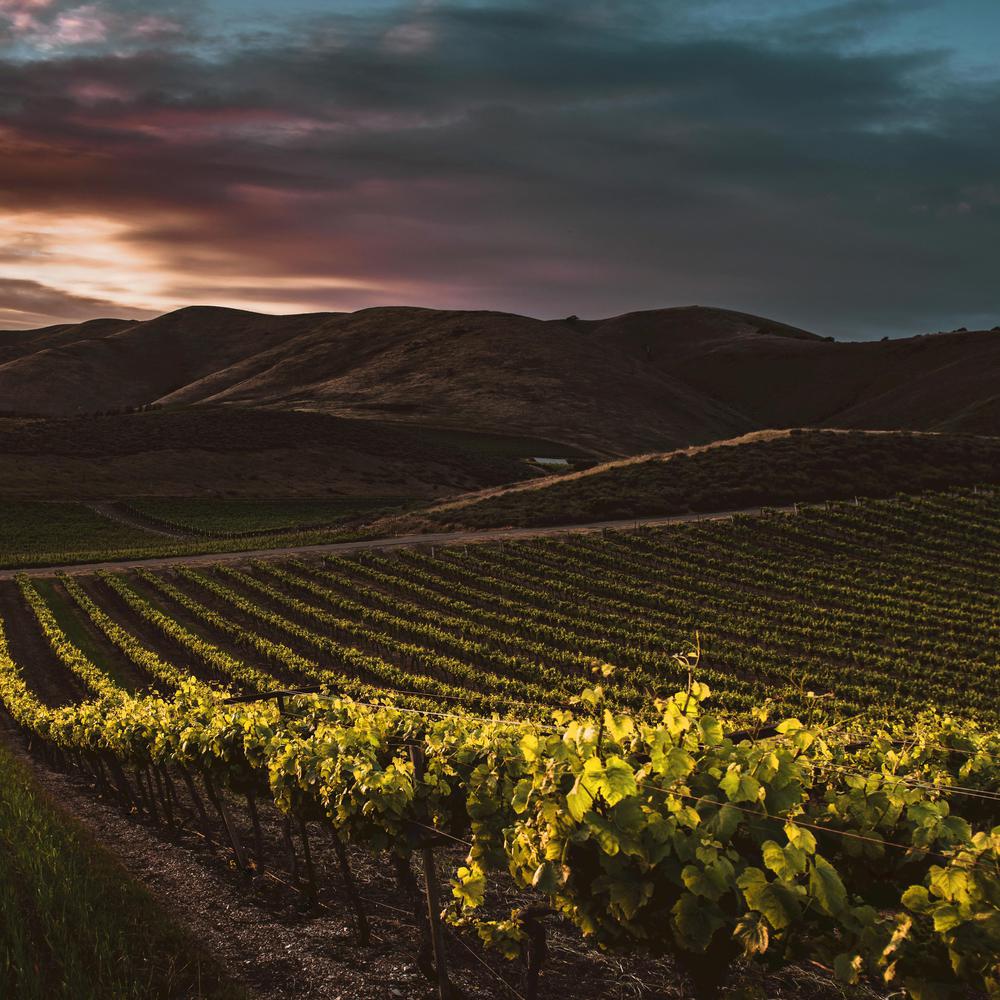 PRIMAVERA DEL PROSECCO CISON DI VALMARINO