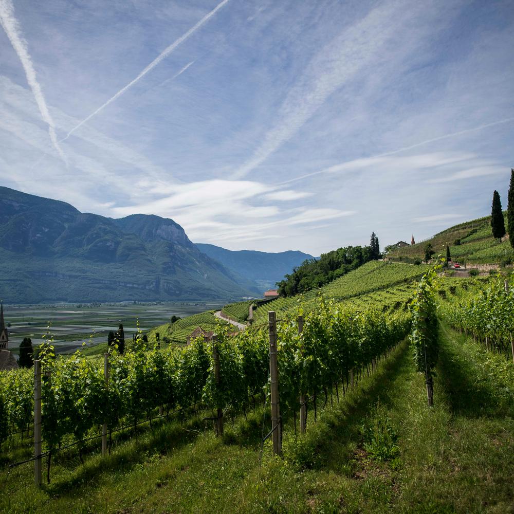 PRIMAVERA DEL PROSECCO MIANE