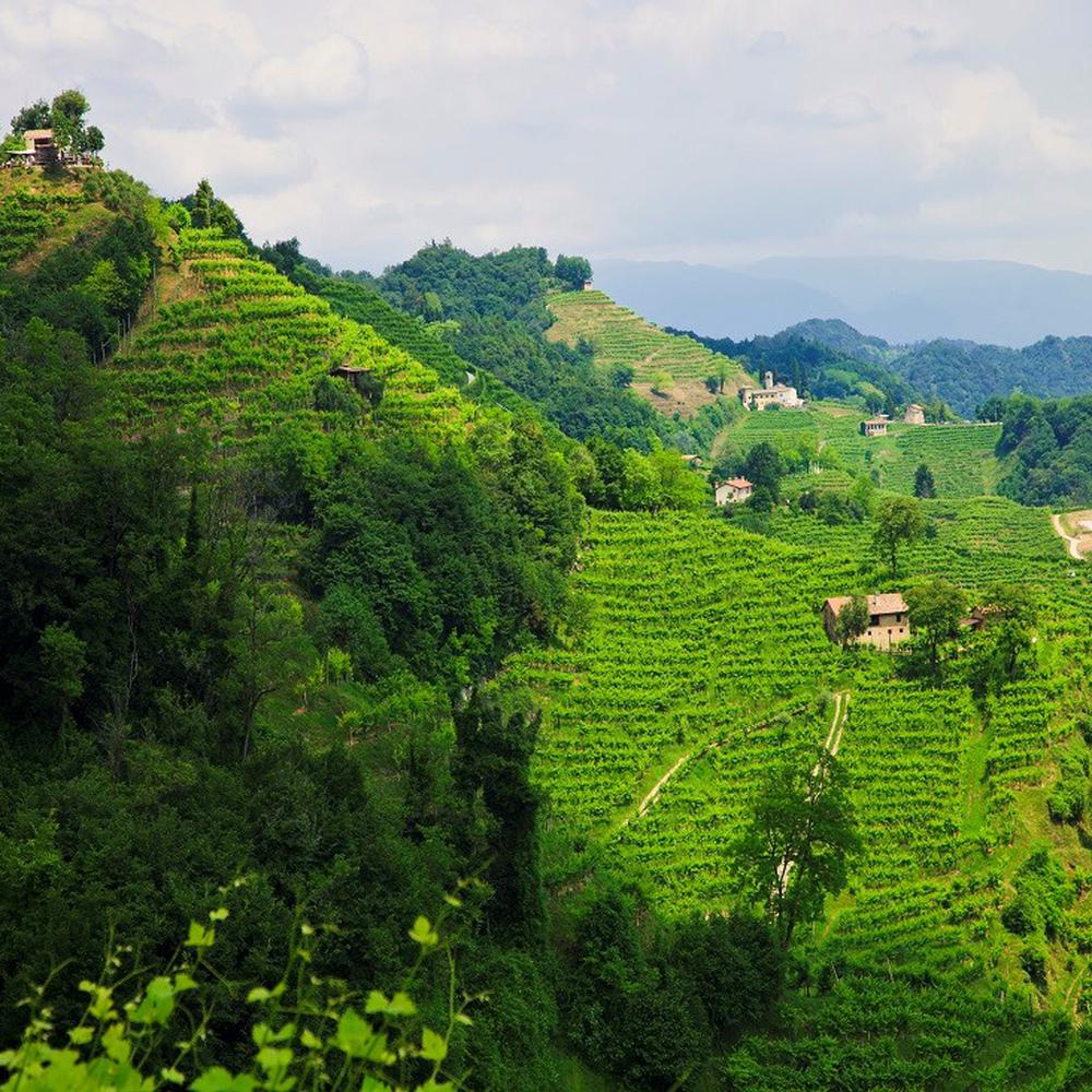 PROSECCO TOUR  IN CONDIVISIONE