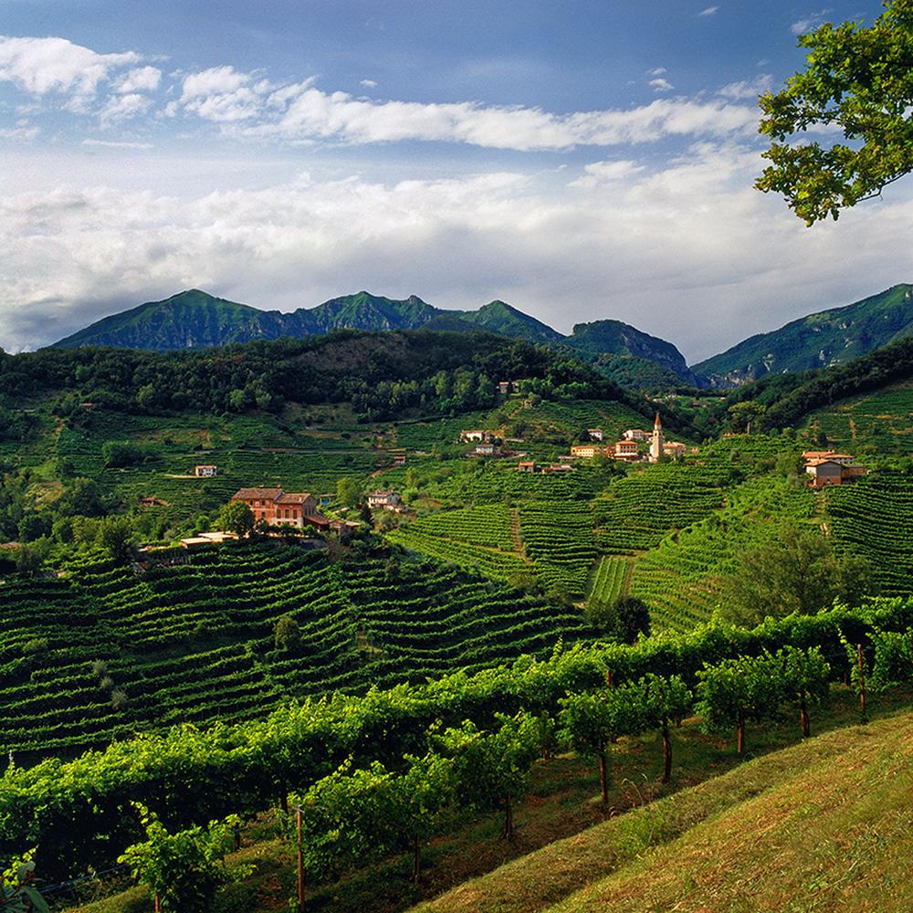 PROSECCO TOUR IN CONDIVISIONE