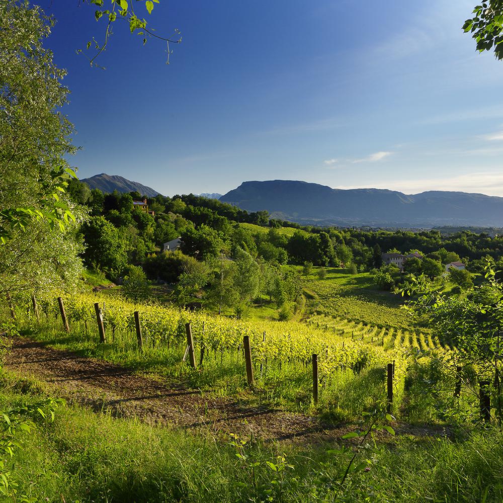 PROSECCO TOUR IN CONDIVISIONE
