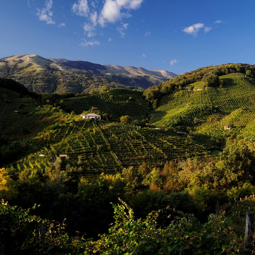 PROSECCO TOUR IN CONDIVISIONE