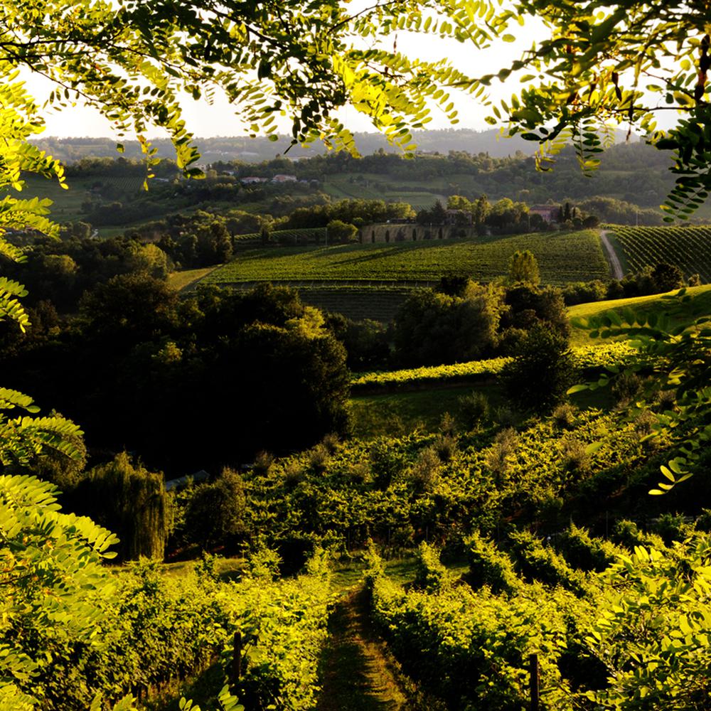 PROSECCO TOUR IN CONDIVISIONE