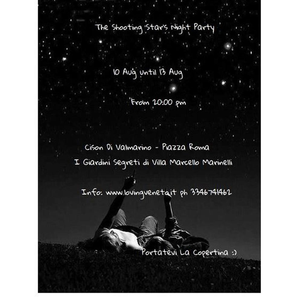 The Shooting Star's Night Party