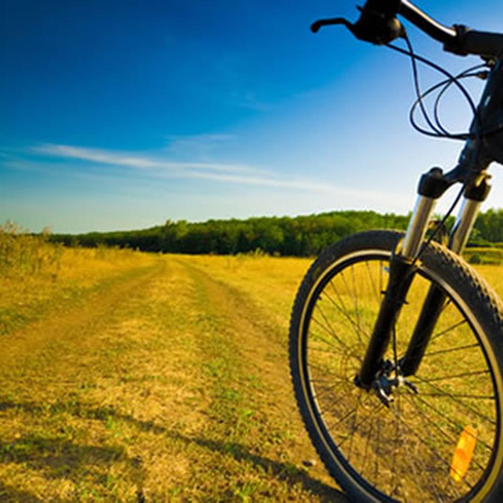 MOUNTAIN BIKE OR E-BIKE TOURS